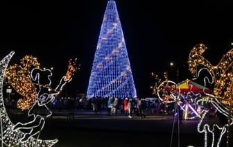 Жабинковская ёлка стала лучшей в Брестской области