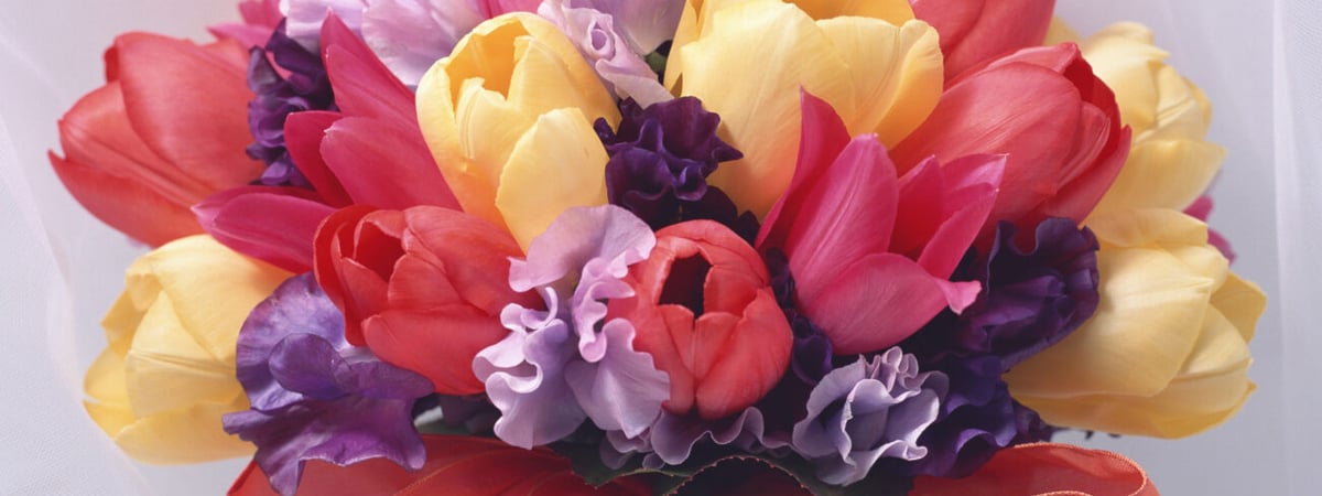 Цены на цветы к 8 Марта вырастут на 20% в Минске и Беларуси