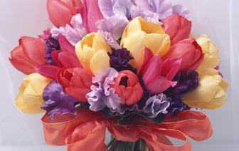 Цены на цветы к 8 Марта вырастут на 20% в Минске и Беларуси