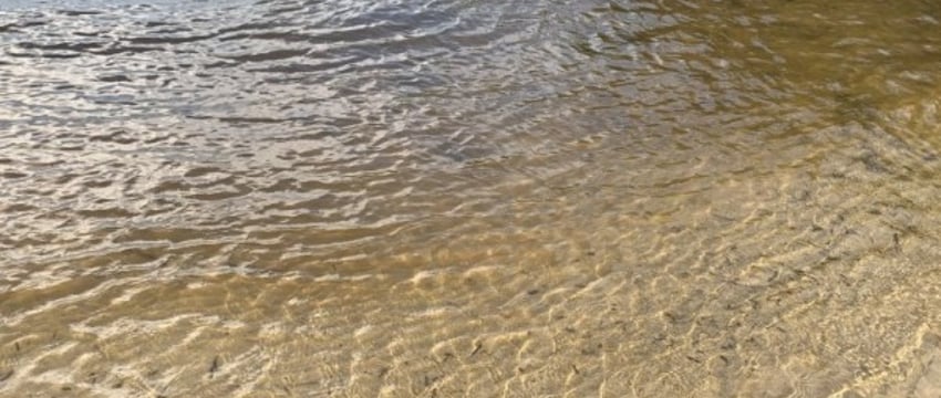 Из Мухавца в Бресте достали тело мужчины