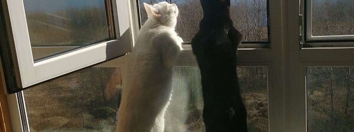 Синоптики спрогнозировали волну тёплого воздуха с юга. Когда в Беларуси прогреется до +20°С? — Фото