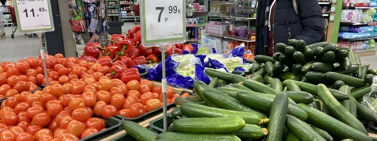 В Беларуси рухнули цены на свежие огурцы. Где найти дешевле 7 рублей? — Фото