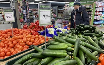 В Беларуси рухнули цены на свежие огурцы. Где найти дешевле 7 рублей? — Фото