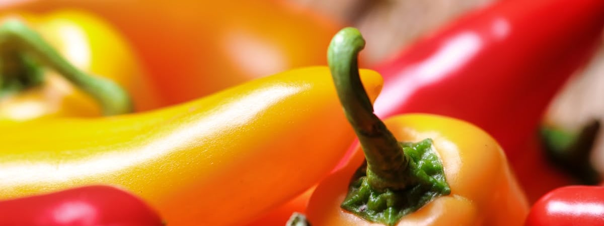 Следующее поколение Porsche Cayenne будет электрическим