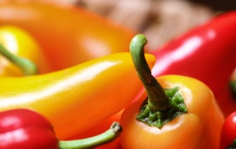 Следующее поколение Porsche Cayenne будет электрическим