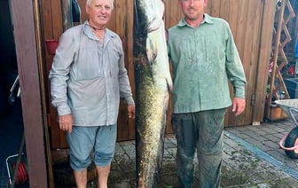 «Я в этом деле новичок, а новичкам всегда везет!» Могилевчанин показал сома почти в 180 сантиметров, которого выловил в Припяти