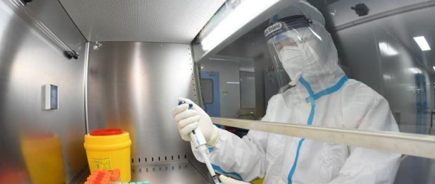 WSJ: Китай 2 недели скрывал существование смертельного вируса