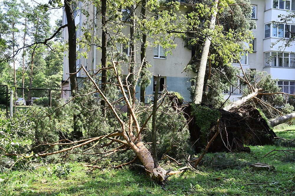 ураган в гомеле