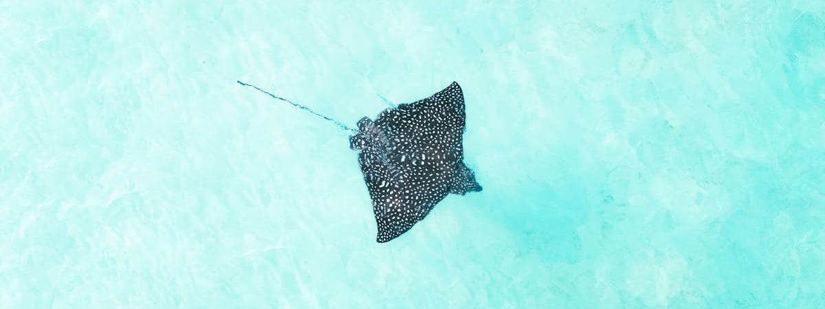 Более 3 млн жителей Флориды остались без электричества из-за урагана "Милтон"