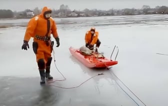 Спасатели показали, как доставали козу из озера в Лепеле — Видео