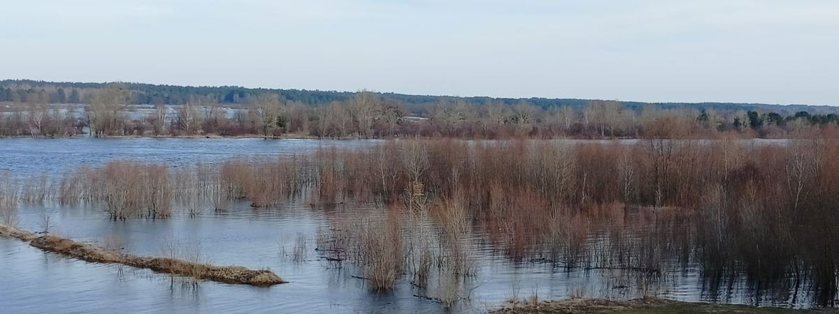 Белгидромет назвал два места в Беларуси, где начались затопления
