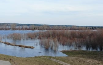 Белгидромет назвал два места в Беларуси, где начались затопления
