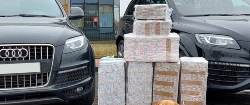 Белорусы могут лишиться двух дорогих AUDI Q7