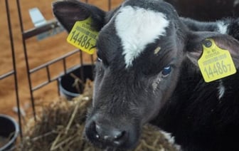 Животновод из Беларуси показала расчетник за август: впечатляющая сумма!