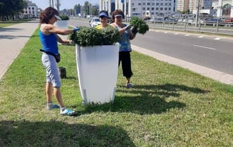 В Бресте специалисты ПКУП «Коммунальник» начали высадку осенних цветов
