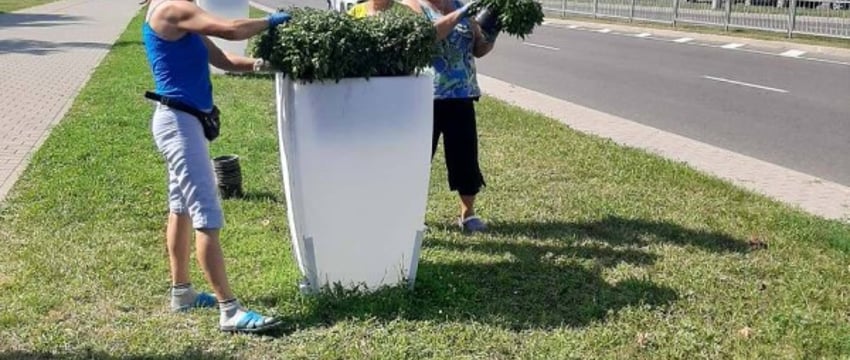 В Бресте специалисты ПКУП «Коммунальник» начали высадку осенних цветов