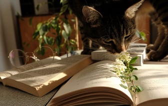 Польша сократит импорт российского сжиженного газа на 80% на фоне санкций