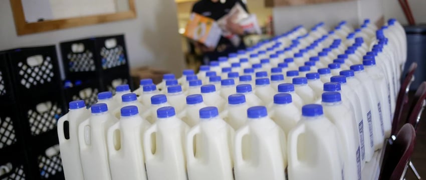 Отчет: Сырое коровье молоко, зараженное птичьим гриппом, вызывает тошноту у мышей