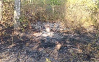 В Березовском районе женщина погибла в огне. Труп нашли на месте горения сухой травы