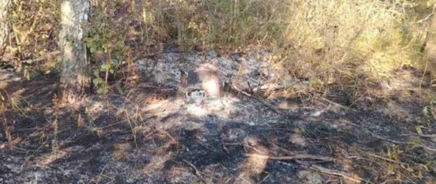 В Березовском районе женщина погибла в огне. Труп нашли на месте горения сухой травы