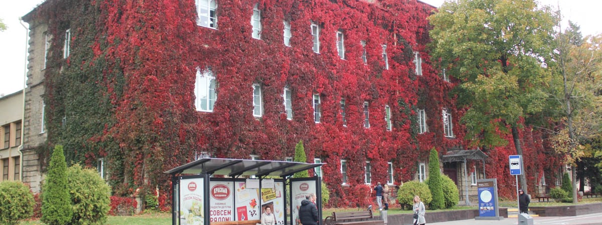 Не спешите прятать летнюю одежду — погода в Гродно на неделю