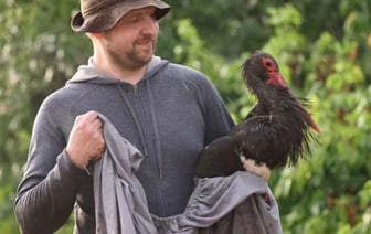 Белорусы спасли раненого черного аиста