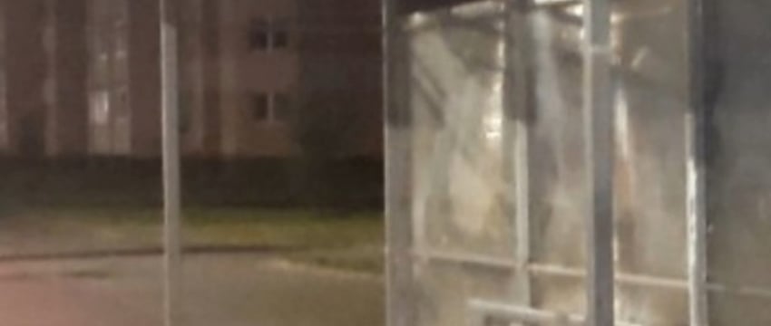 «Избил» остановку пьяный житель Барановичей