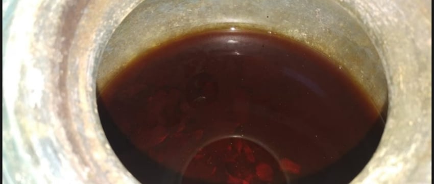 Древнейшее вино из 2000-летней гробницы в Испании содержало человеческий прах