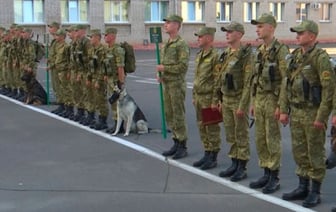 Лучшую тревожную группу среди органов пограничной службы определяют в Бресте