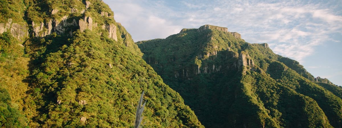 Центробанк Бразилии вкинул $17 млрд резервов, чтобы поднять реал