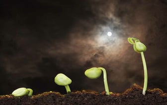 Лунный посевной календарь на февраль 2024 года. Когда лучше всего сеять белорусам? — Полезно