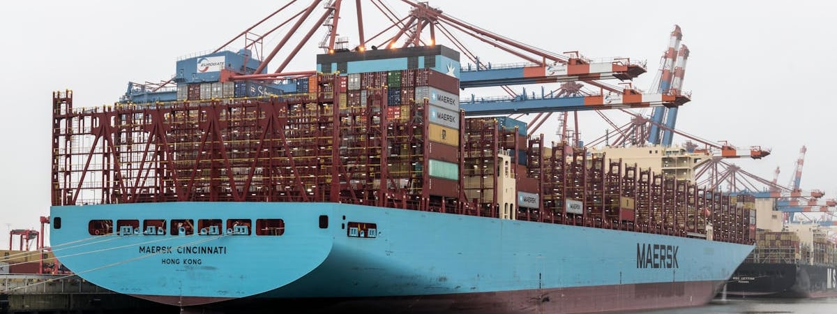 Экспортные поставки украинского сыра за январь-октябрь выросли на 40%