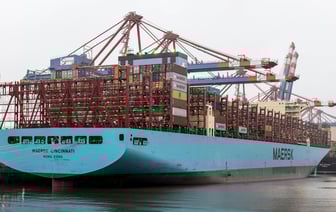 Экспортные поставки украинского сыра за январь-октябрь выросли на 40%