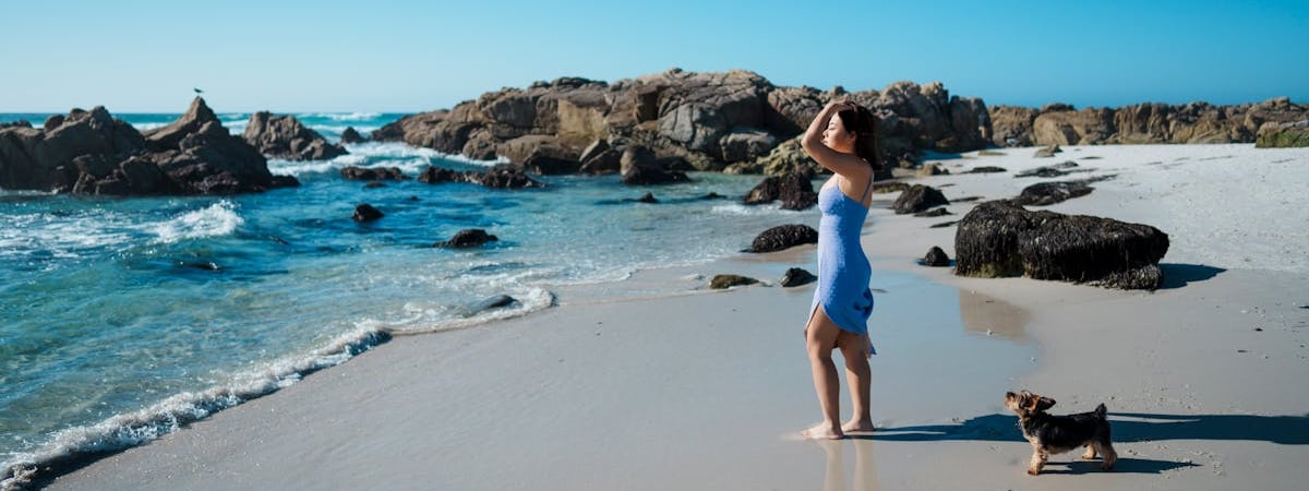 Что не так с этими бульдогами? Эту головоломку на внимательность многие не проходят и за полминуты — Фото