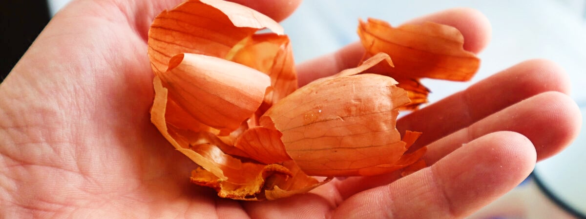 Выбрасываете луковую шелуху? Зря. Вот как применить ее с пользой на огороде и не только — Полезно