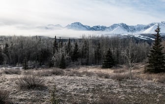 «Эко Движ 2.0»: А1 разыграет пять новых Apple iPhone 15 в обмен на старые мобильные устройства