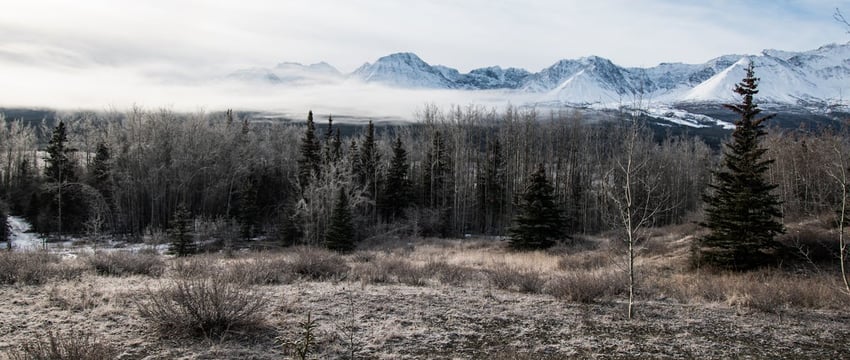 «Эко Движ 2.0»: А1 разыграет пять новых Apple iPhone 15 в обмен на старые мобильные устройства