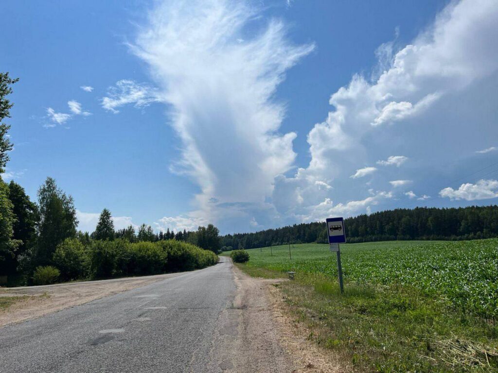 Бежали из леса втроем как ошпаренные. В Борисовском районе медведи начали выходить к людям