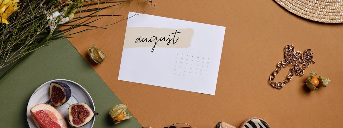 Что делать белорусам на огороде и в саду в августе? Растения отблагодарят обильным урожаем — Полезно