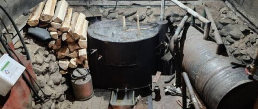 Лесник организовал производство самогона. Случай в Беларуси