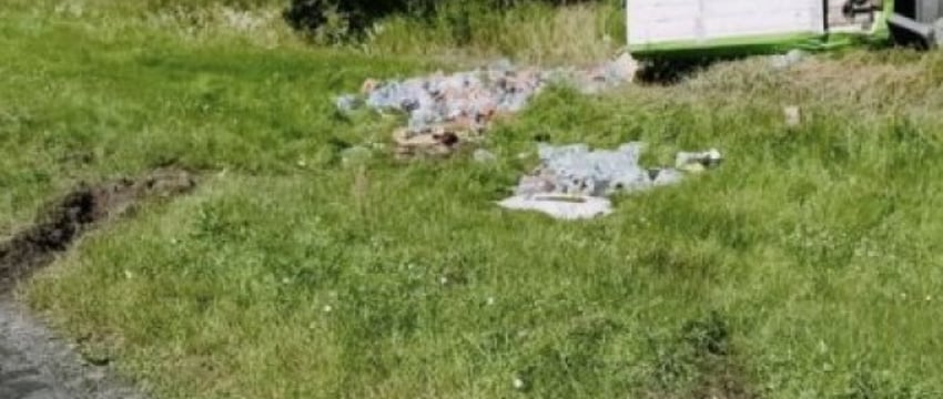 ДТП в Брестской области: лопнуло колесо, машина улетела в кювет и опрокинулась