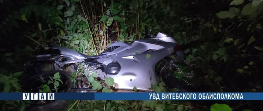 Лось убил байкера в Городокском районе