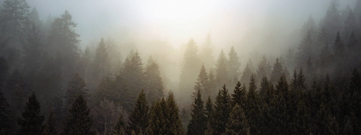 В Белгородской области украинский беспилотник поразил нефтебазу