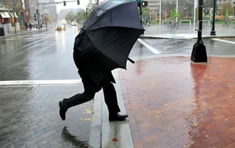 Ветер до 72 км/ч. Синоптики объявили оранжевый уровень опасности для одной области Беларуси