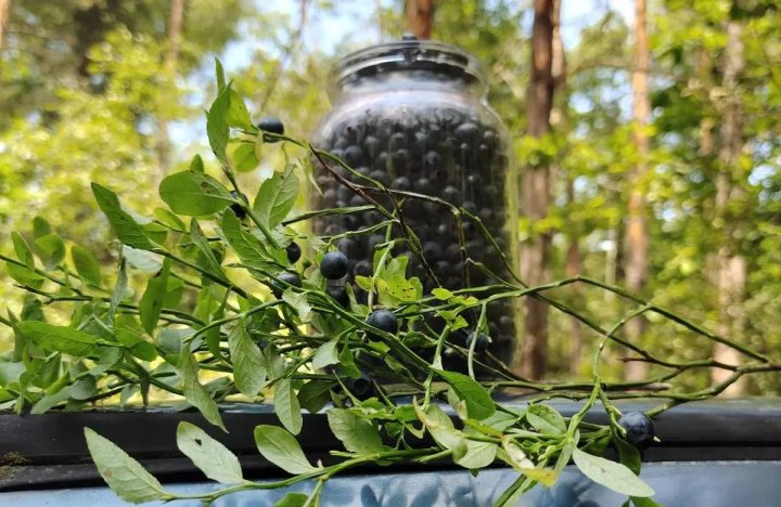 Фото из открытых источников (иллюстративное)