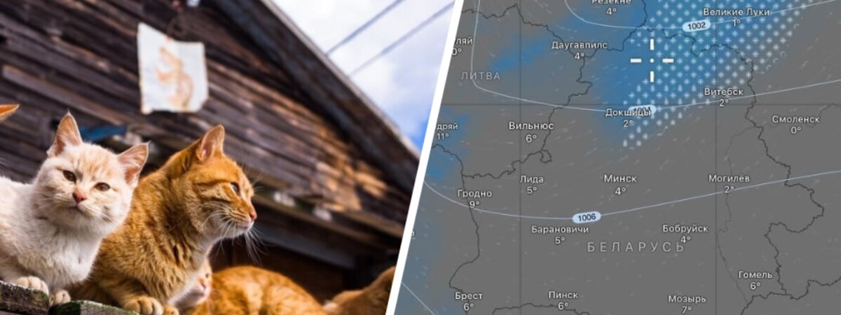 Снегопады сменятся солнечными +22°С? Синоптики рассказали, когда Оливия принесет белорусам весну — Фото