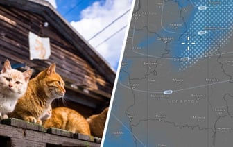 Снегопады сменятся солнечными +22°С? Синоптики рассказали, когда Оливия принесет белорусам весну — Фото