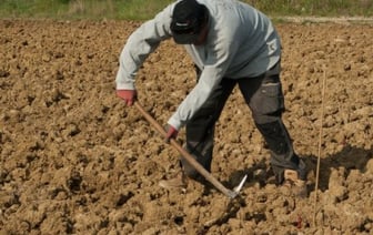 Фермер из Бреста переживает, что его могут записать в «тунеядцы». Это правда?