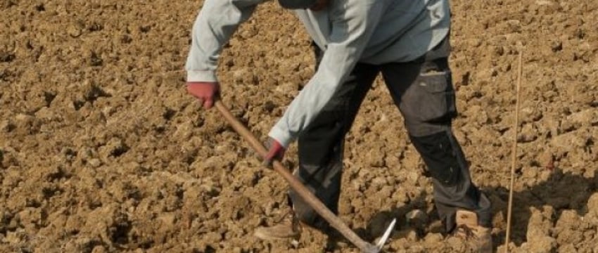 Фермер из Бреста переживает, что его могут записать в «тунеядцы». Это правда?