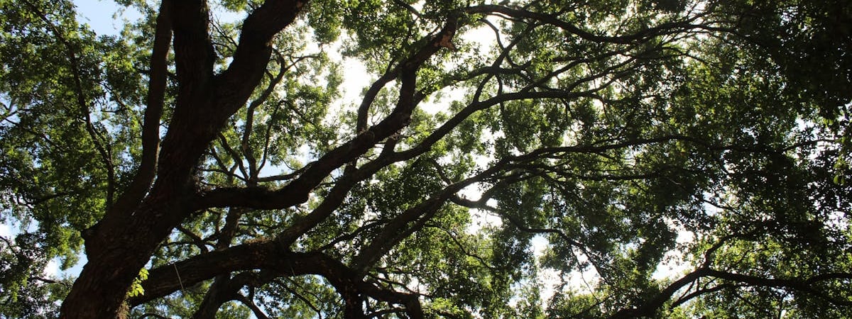 Иран заявил о готовности к переговорам по ядерной программе